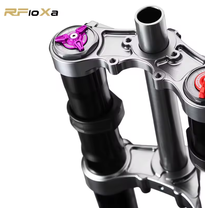 Rfloxa Forks Surron LBX